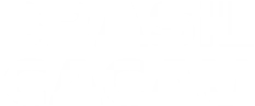 Logo Brasil Cacau