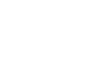 Logo McCain
